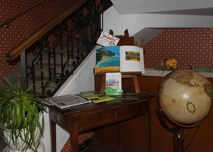 Girasole Civitanova Marche