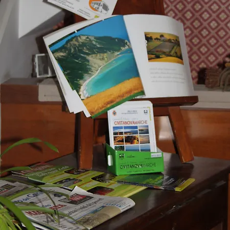 Girasole Civitanova Marche