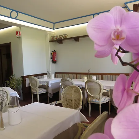 Hotel Girasole Civitanova Marche