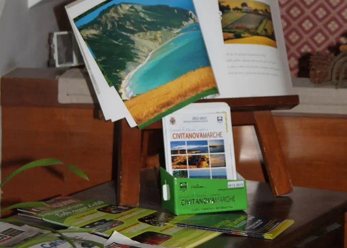 Girasole Civitanova Marche